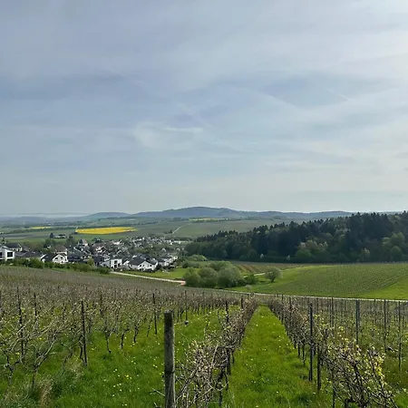 Ferienwohnung Moselherz - Urlaub Im Wein- Und Ferienort Bekond Exterior photo