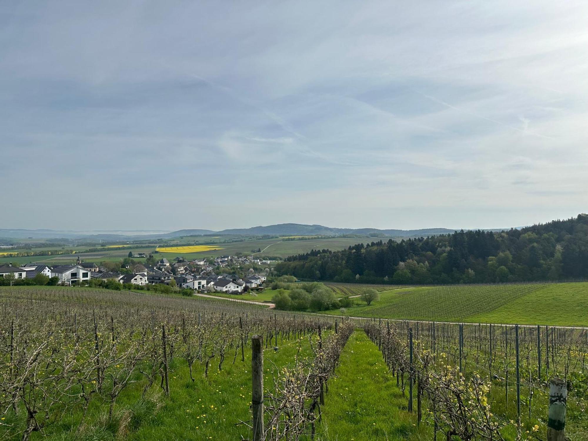 Apartment Moselherz - Urlaub Im Wein- Und Ferienort