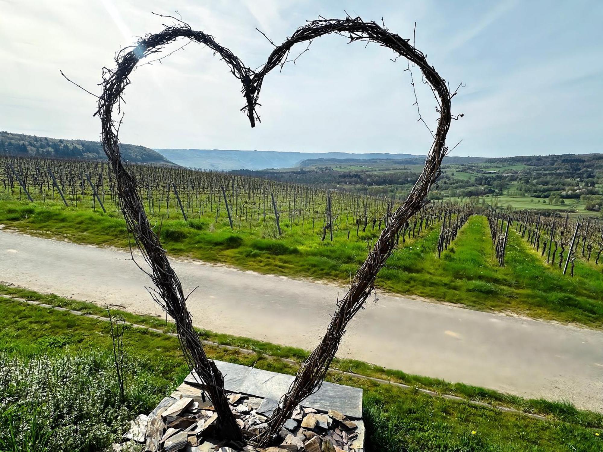 Moselherz - Urlaub Im Wein- Und Ferienort Bekond