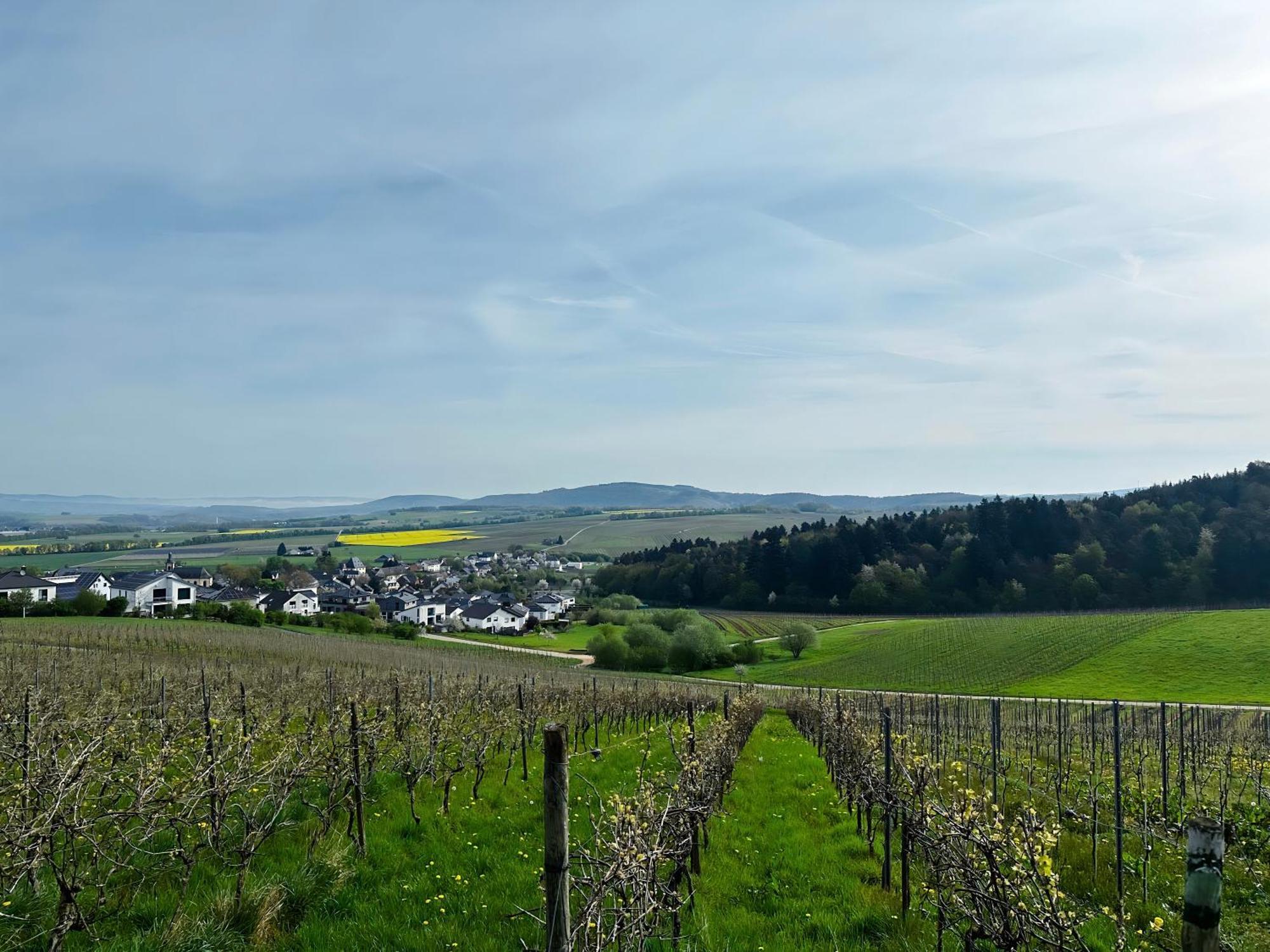 Apartment Moselherz - Urlaub Im Wein- Und Ferienort Bekond